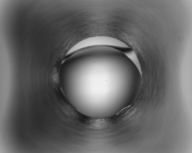 X0000095920384200801251035