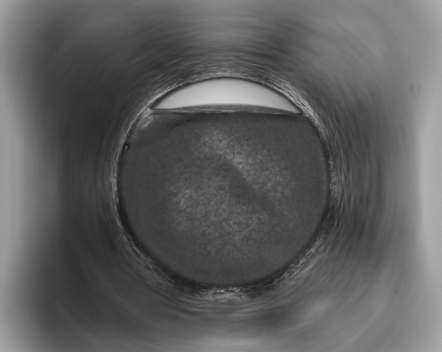 X0000095920386200801251034