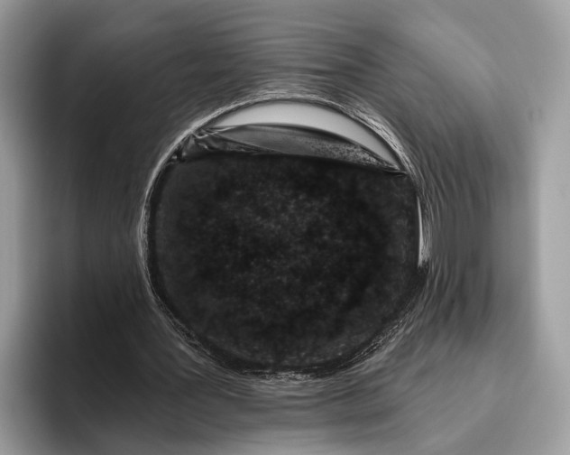 X0000095920387200801251034