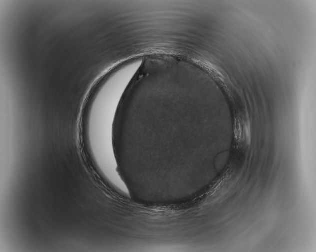 X0000095920388200801251034