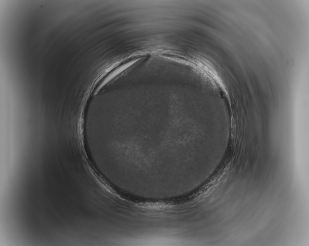 X0000095920389200801251034