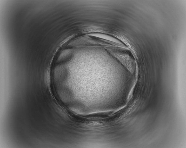 X0000095920390200801251034