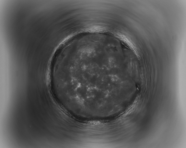 X0000095920392200801251034