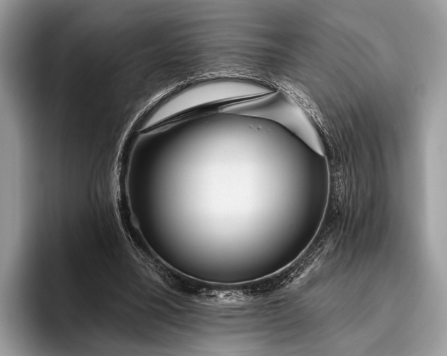 X0000095920395200801251034