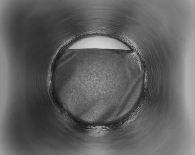 X0000095920396200801251034