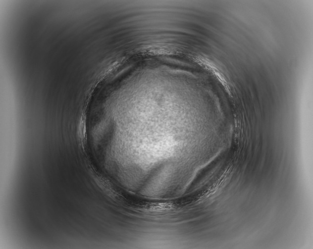 X0000095920398200801251034