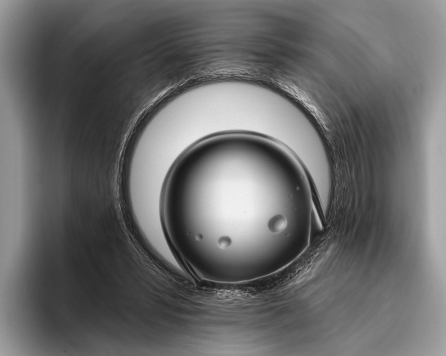 X0000095920399200801251034