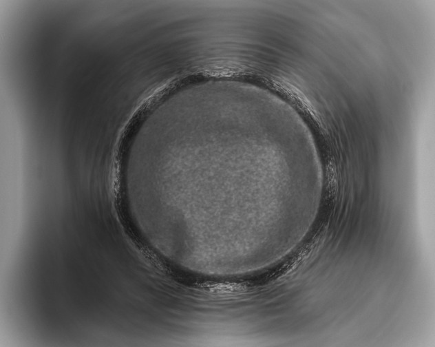 X0000095920400200801251034