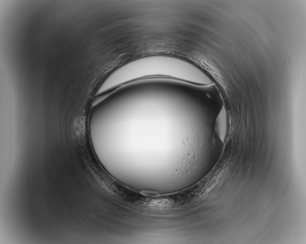 X0000095920401200801251034