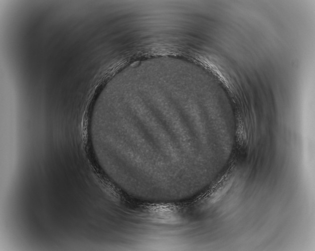 X0000095920402200801251034