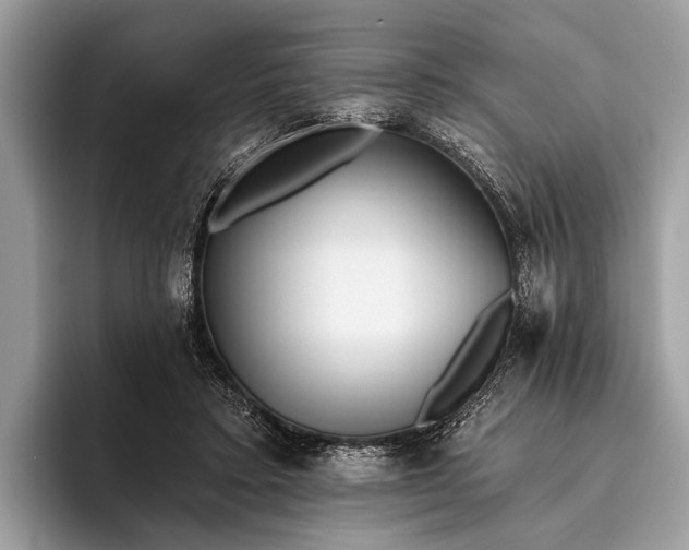 X0000095920403200801251034