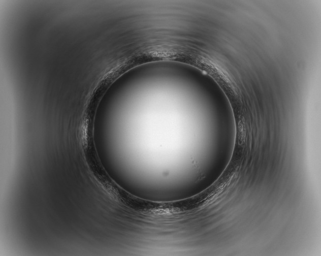 X0000095920404200801251034