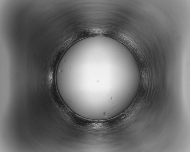 X0000095920406200801251034