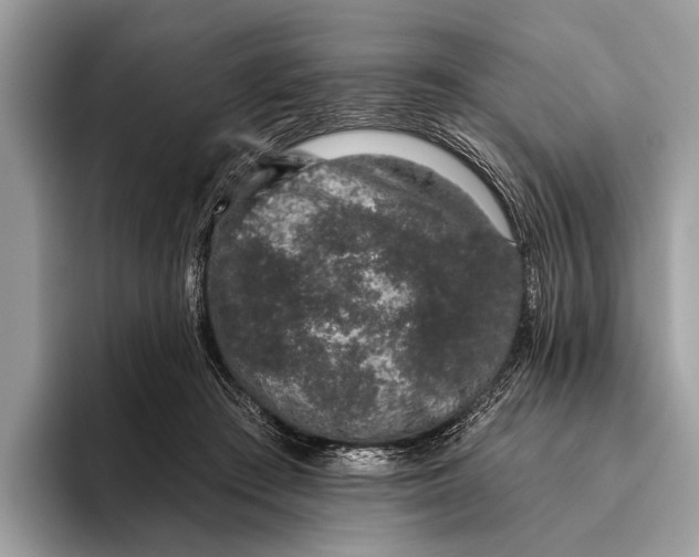 X0000095920409200801251034