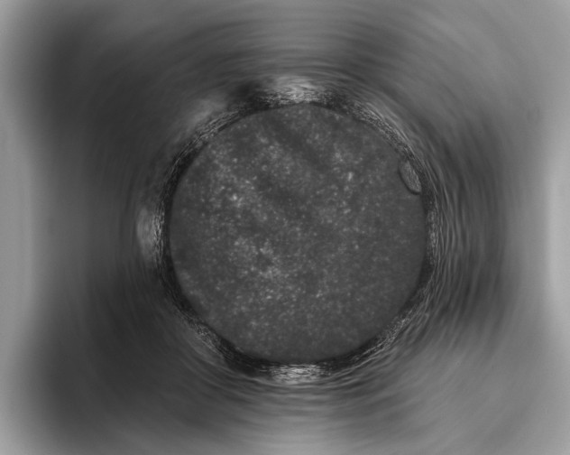 X0000095920410200801251034