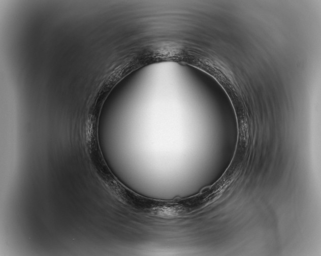 X0000095920412200801251034