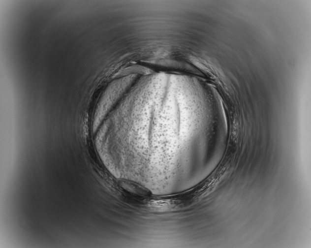 X0000095920413200801251034