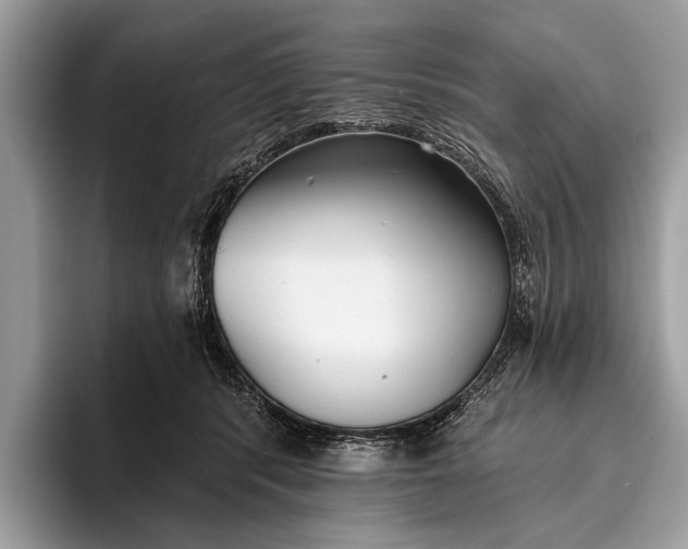 X0000095920416200801251034