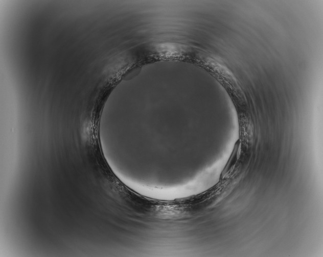 X0000095920419200801251034