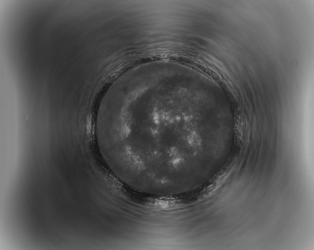 X0000095920420200801251034