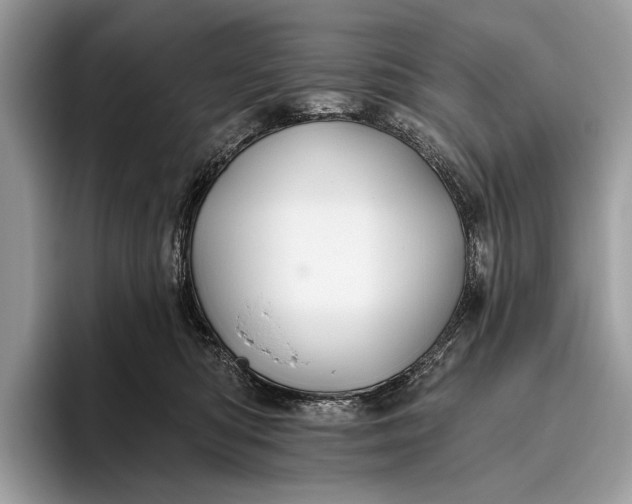 X0000095920422200801251034