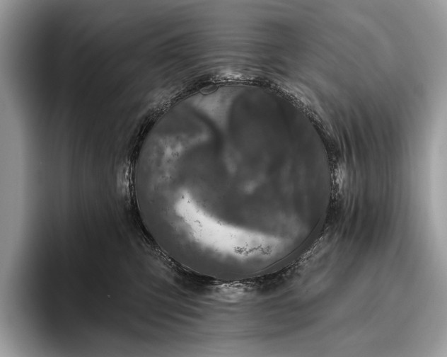 X0000095920423200801251034