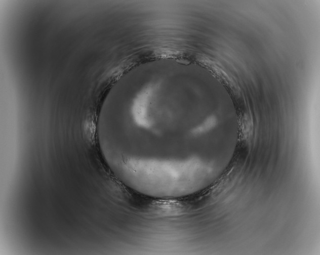 X0000095920427200801251033