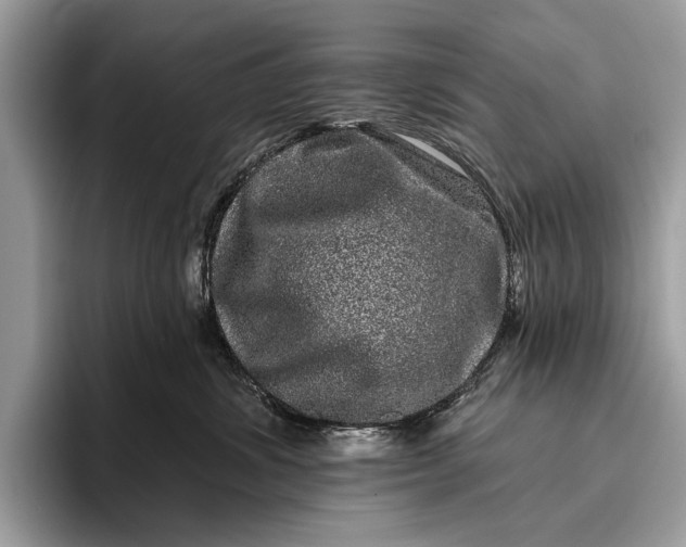 X0000095920428200801251033