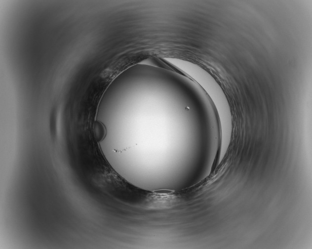 X0000095920429200801251033