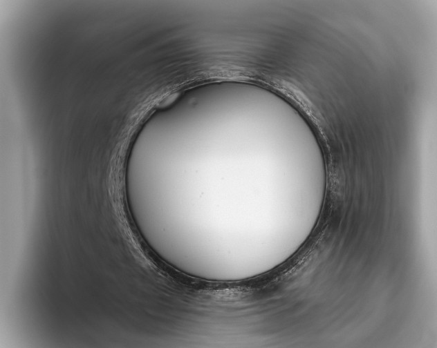 X0000095920433200801251033