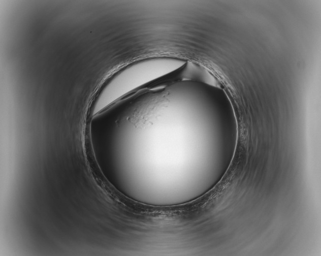 X0000095920434200801251033