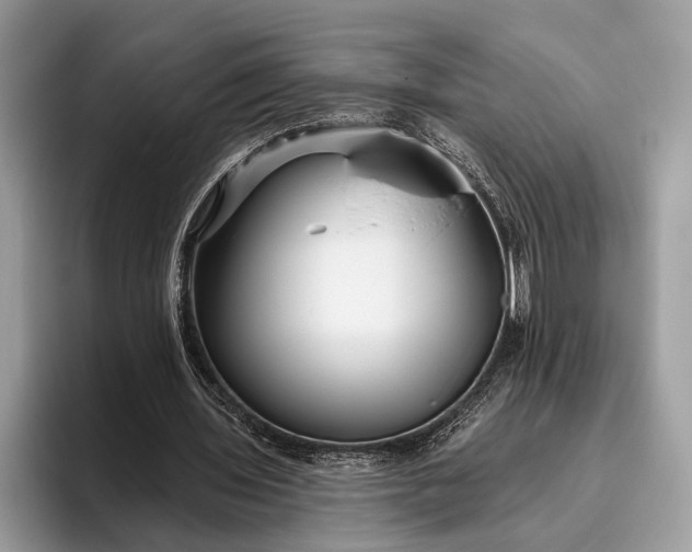 X0000095920435200801251033