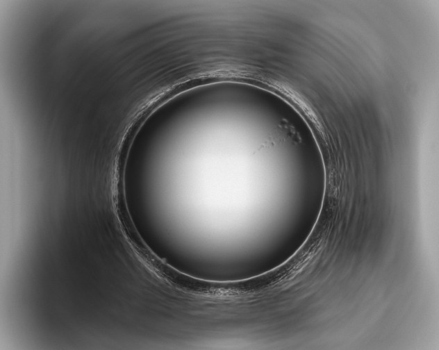 X0000095920437200801251033