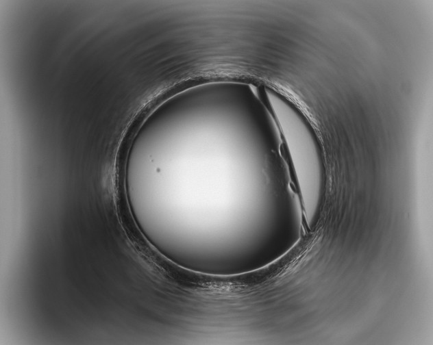 X0000095920439200801251033