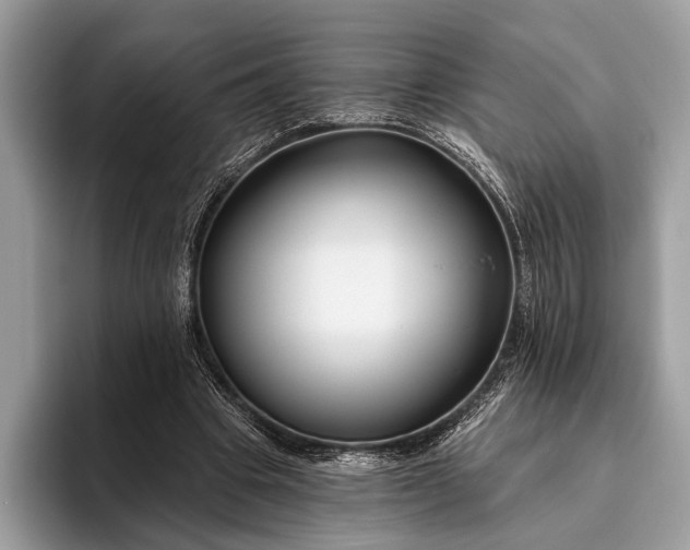 X0000095920441200801251033