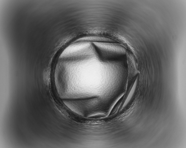 X0000095920443200801251033