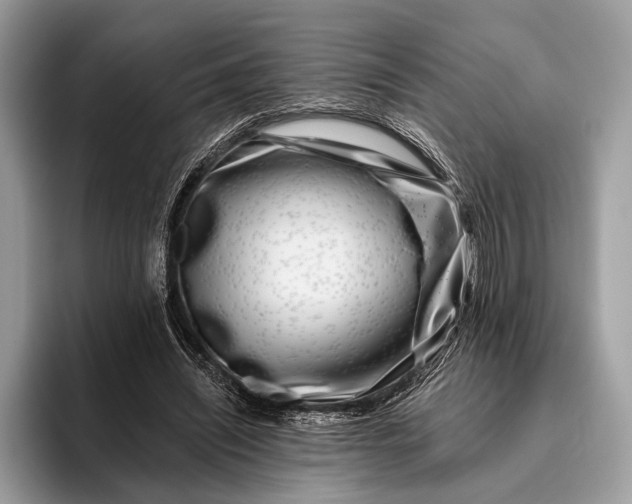 X0000095920444200801251033