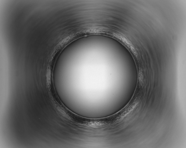 X0000095920445200801251033