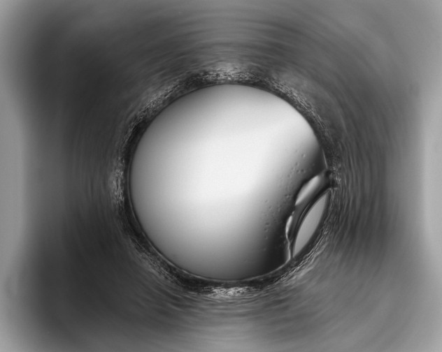 X0000095920450200801251033