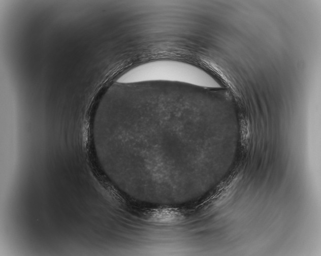 X0000095920451200801251033