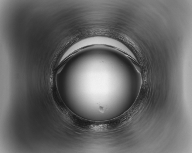 X0000095920452200801251033