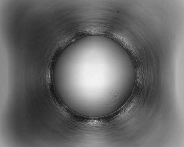 X0000095920453200801251033