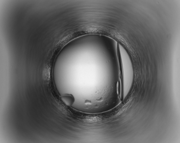 X0000095920454200801251033