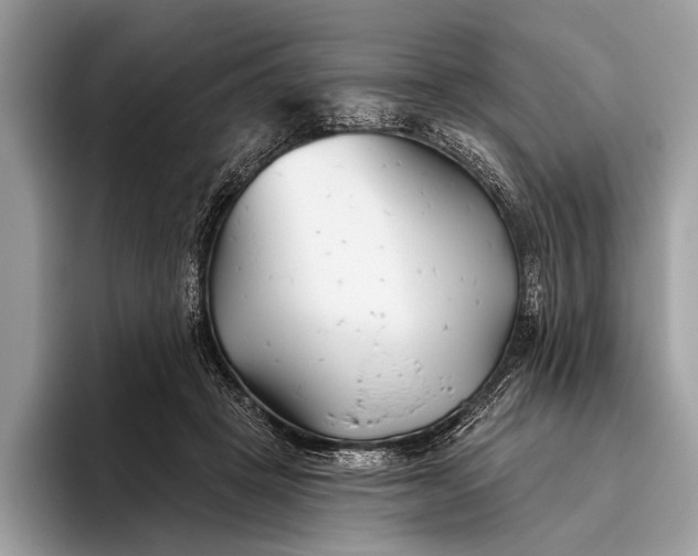 X0000095920457200801251033