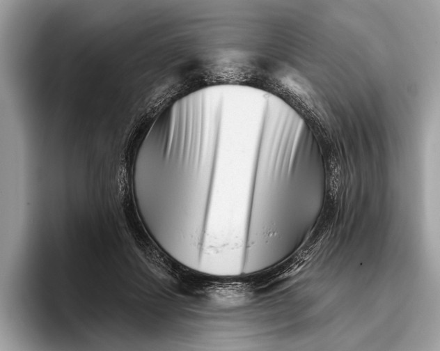 X0000095920459200801251033