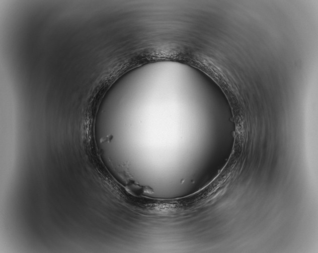 X0000095920462200801251033