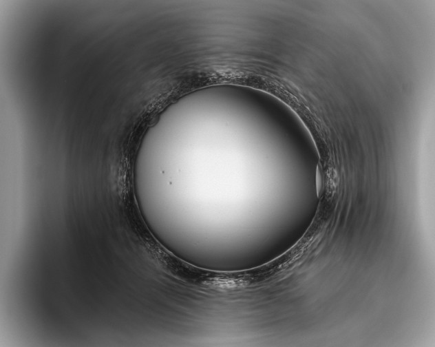 X0000095920464200801251033