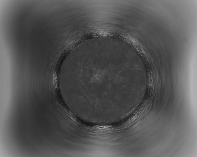 X0000095920465200801251033