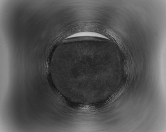 X0000095920467200801251033