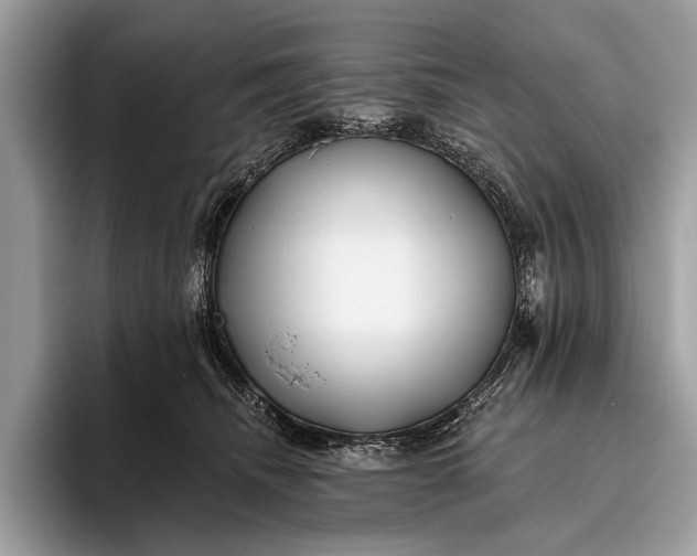 X0000095920468200801251033